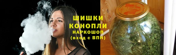 метадон Богданович