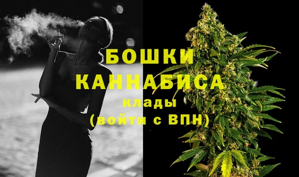 метадон Богданович