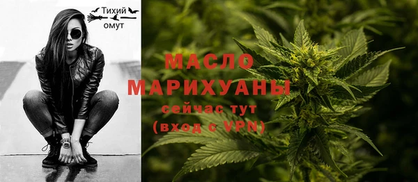 метадон Богданович
